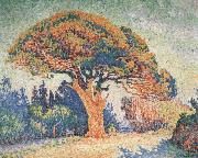 Paul Signac Pine Tree at Saint-Tropez china oil painting reproduction